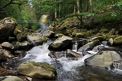 Eines der 100 schönsten Geotope Bayerns: Die Buchberger Leite